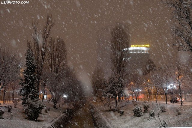tirana 16