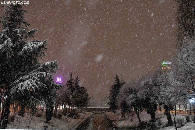 tirana 6