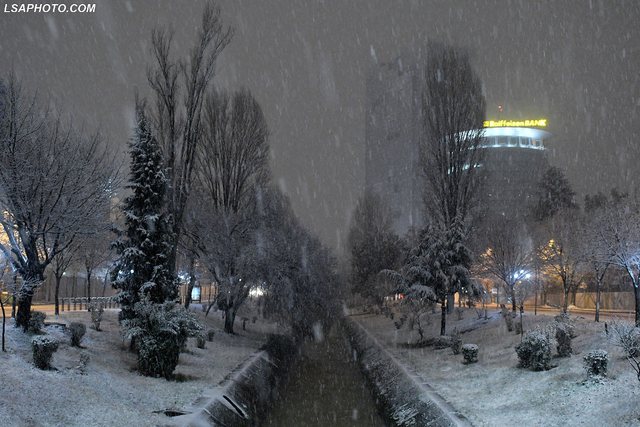 tirana 8