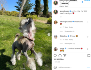 Familja e CR7 dhe Georgina-s sapo u shtua me anëtarin më të ri 1 B63288FF 97B2 42CB 8FEB 114F59329978