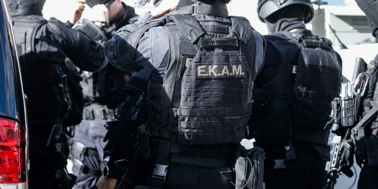 Shqiptarja e organizoi vrasjen e 25-vjeçarit për një qen, pranga autorëve ekam 1 1536x1024 1 750x375 1