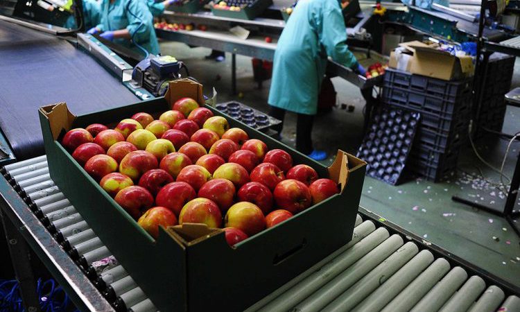 Produktet bujqësore shqiptare mund të eksportohen pa taksë doganore në BE deri në vitin 2025 mollle