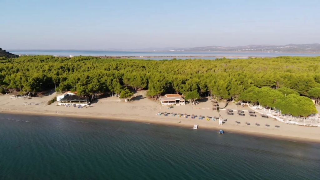 INVESTIGIMI: Profili i bosit vlonjat Artur Shehu, me prona luksi në SHBA vlore narte