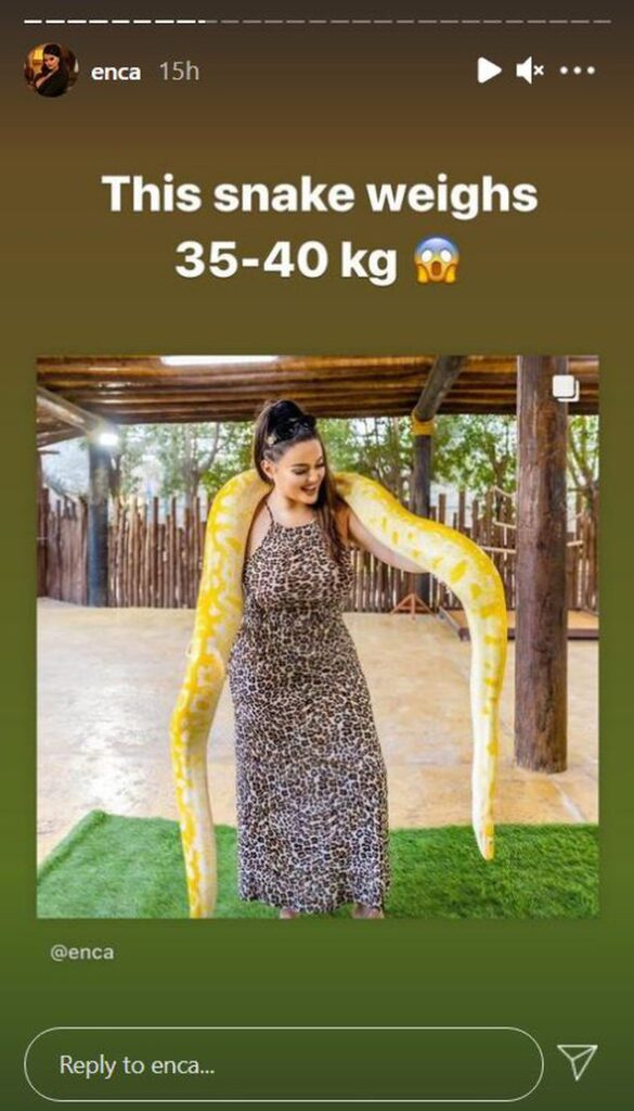 Enca me pushime në Dubai, pozon me gjarprin gjigant që peshon 40 kg 1 1 24
