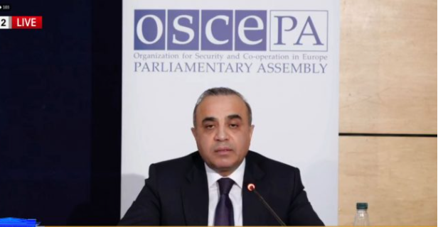 Publikimi i databazës me të dhënat e qytetarëve/ OSBE-ODIHR: Mund të konsiderohet si shkelje e rëndë e privatësisë 22