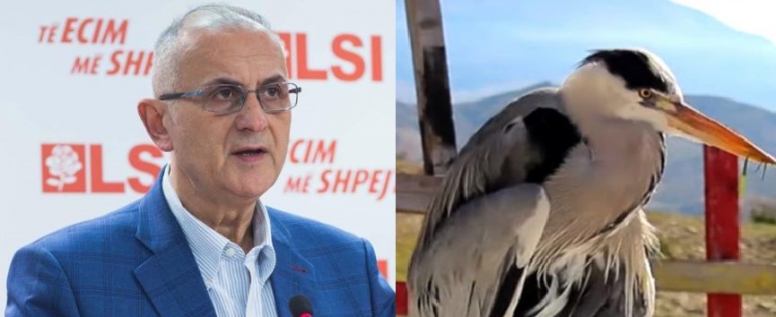 Petrit Vasili me deklaratë të papritur: Moratoriumi i gjuetisë do të hiqet! sgwgg3ehgh 1068x667 1