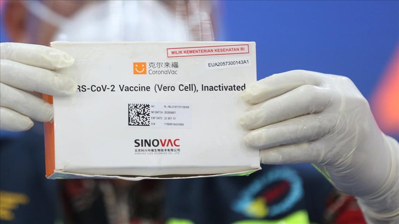 A do pezullohet vaksina kineze? Reagon ISHP në vendin tonë sinovac 1