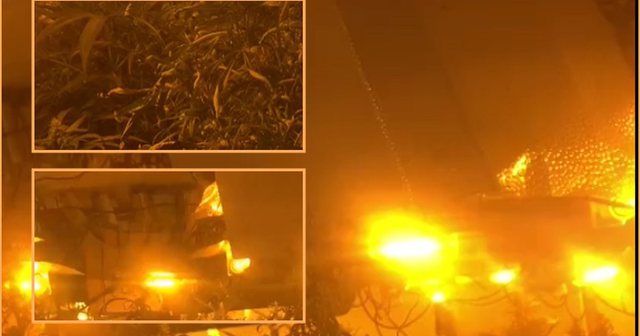 FOTOT/ Trafikantët shqiptarë ndryshojnë strategji, zbulohet “shtëpia e barit” në Fushë-Krujë, shikoni çfarë ndodhte në bodrumin e vilës luksoze 640 0 c8db16e4d3fe03a3060ad4e20832d849