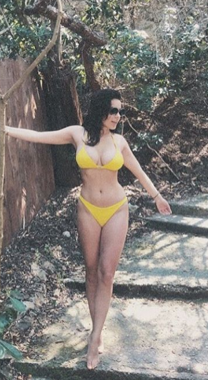 armina mevlani