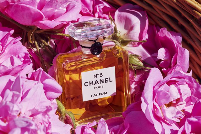 Chanel N°5 feston 100 vjetorin e krijimit, yjet e njohura të botës së artit flasin për parfumin ikonë të të gjitha kohërave chanel
