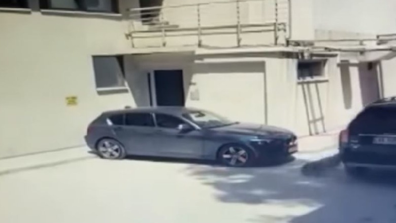 Identifkohet 39-vjeçari që shtypi qëllimisht me makinë një qen në Durrës (VIDEO) 1624100335 qeni