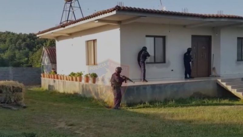 Operacioni anti-kanabis në Krujë/ Gjykata jep vendimin për 3 të pandehurit, ja personat që mbeten në qeli 800 0 60b757352f7d9