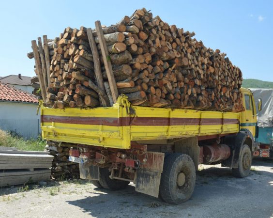 Prisnin dru në zonë të mbrojtur, në pranga 2 persona në Pogradec, procedohen 2 të tjerë WhatsApp Image 2021 06 15 at 2.04.33 PM 1 564x450 1