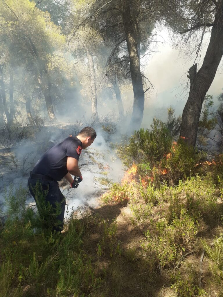 Zjarri përfshin pyllin me pisha në fshatin Gjorgoz të Patosit, era e fortë favorizon flakët 2 2 5