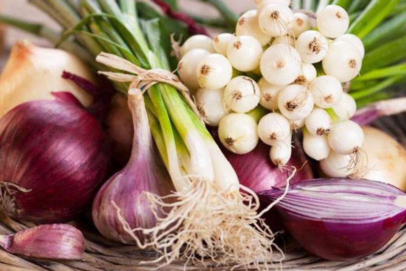 Antibiotikët natyralë që shkatërrojnë infeksionet pa efekte anësore 800 0 60deeb5e1d172