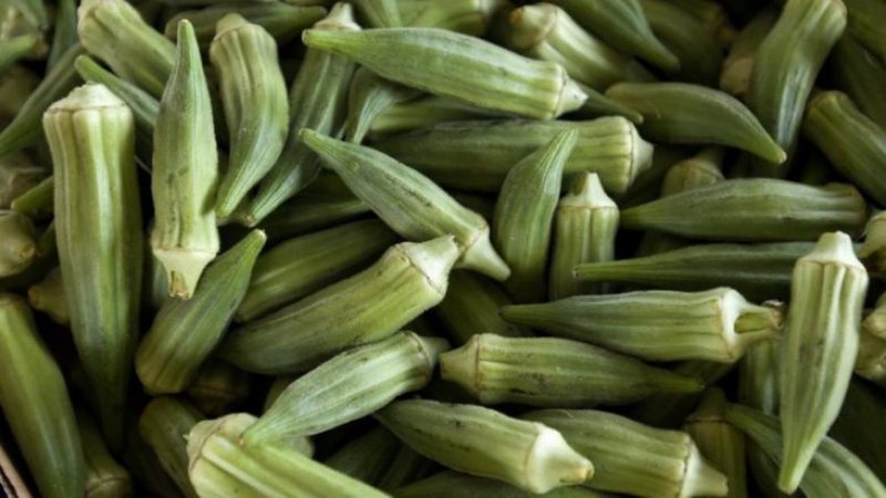 Mos i ndani nga dieta juaj, përfitimet e pabesueshme shëndetësore të bamjeve 800 0 60f56e9d5ff76
