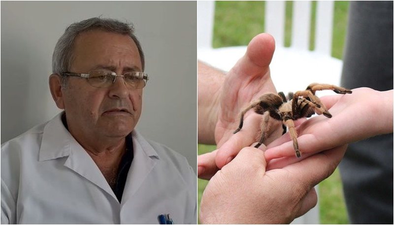 Mjeku tregon se çfarë po ndodh në Fier, mjeku: Kujdes nga pickimet e tyre! Janë më toksike se gjarpërinjtë Gjate diteve te fundit per shkak te temperaturave te larta dhe thatesire