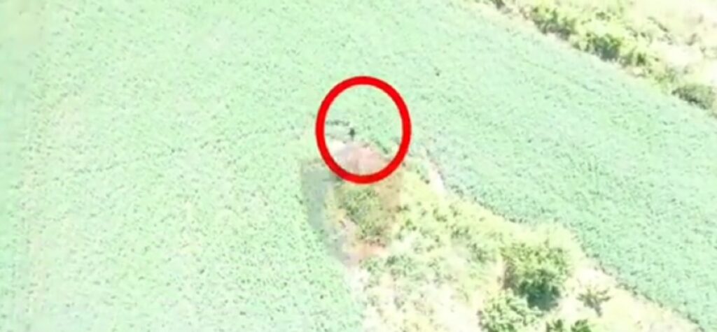 dron