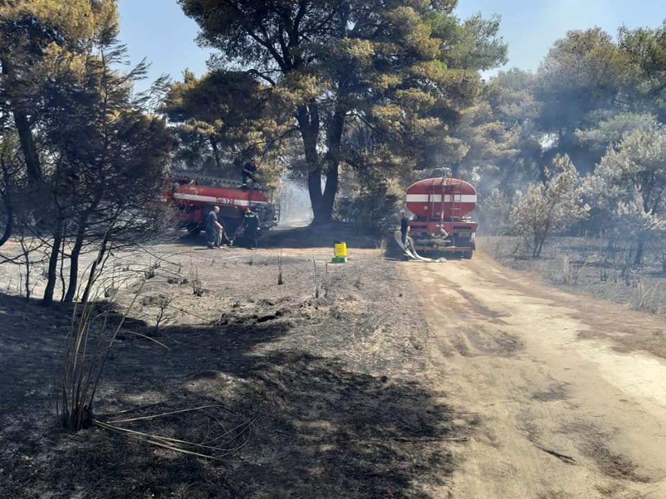 Shënohet viktima e parë nga zjarri në vendin tonë, humb jetën një burrë në Gjirokastër, gruaja në gjendje të rëndë 228764556 4094981293884540 5625586717947813286 n