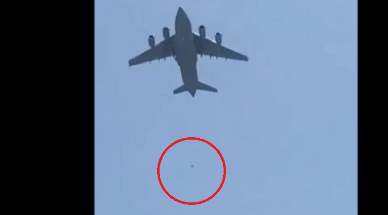 Po tentonin të largoheshin nga Kabuli, qytetarët bien nga avioni, pamjet që kanë ‘blinduar’ rrjetin 800 0 611a34851bf60