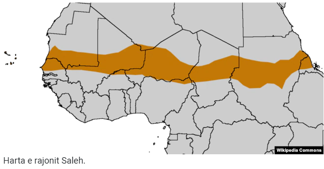 Armët serbe në duart e grupeve të armatosura në Afrikë 1 Harta e rajonit Salej