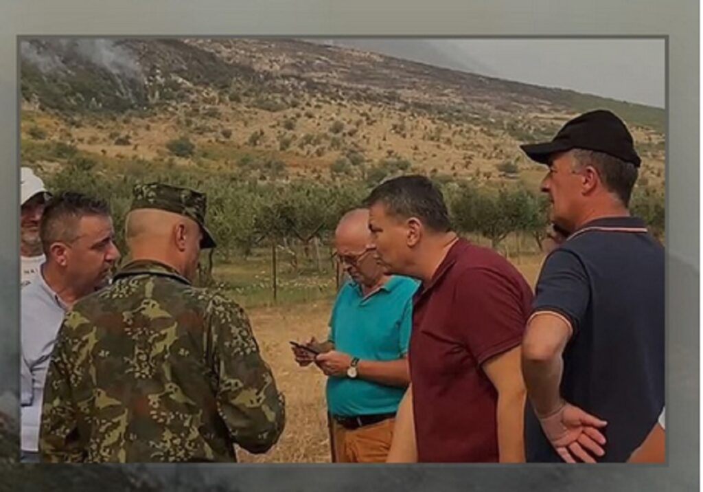 Vlora nën flakë, ushtria në terren, Haki Çako: Krijoni kordon me kazma dhe lopata haki cako