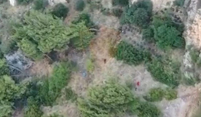 Droni “fundos” dy vlonjatët, po mbillnin fidanë kanabisi, të rinjtë bien në prangat e policisë kanabis