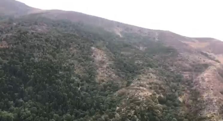 Niko Peleshi jep lajmin e mirë: Shuhen plotësisht vatrat e zjarrit në Karaburun karaburun 1 745x405 1