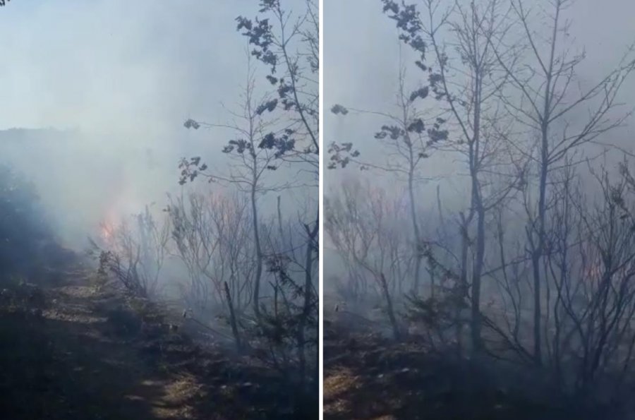 Kukës, zjarri në Majën e Runës ende i rrezikshëm, helikopterit e ushtarëve i bashkohen banorët kukes 1