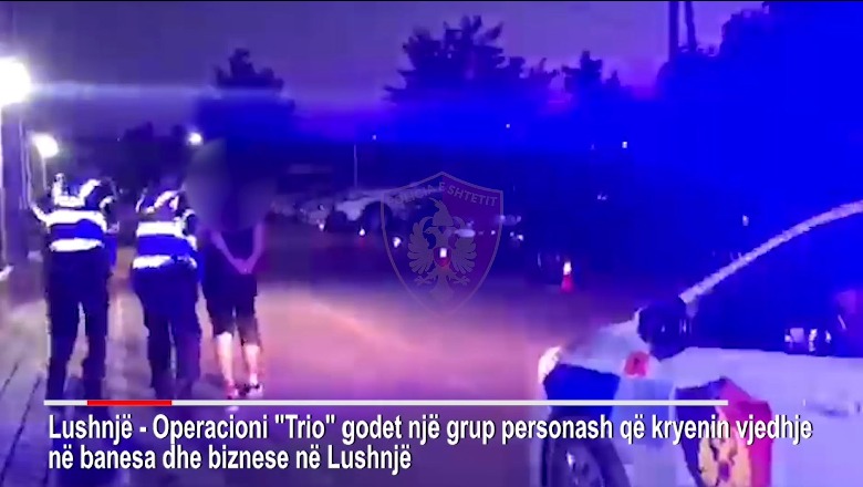 Vinin nga Fieri dhe bënin kërdinë me vjedhjet në Lushnje, 3 të arrestuar! Grabitën 2 biznese dhe 4 banese lushnje