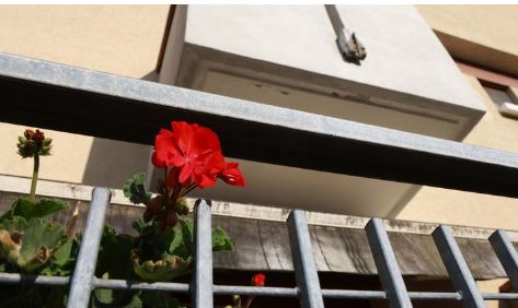 Tragjike! Shqiptari vret gruan dhe më pas veten, ai la dy letra për fëmijët dhe policinë mullaga