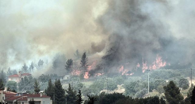 Shënohet viktima e parë nga zjarret në Greqi, zyrtari grek gjendet i vdekur në fabrikën e tij zjarr 3