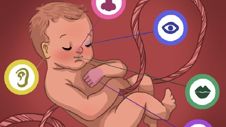 Informacioni që marrin foshnjat teksa janë ende në barkun e nënës 1631904392 1c300d5a76ad6de3083f7b3f26