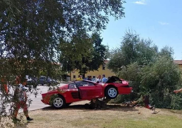 Xhironte video me Ferrari, përfundon mbi pemë a221b9766152a1cc3686e600f66ea0f6