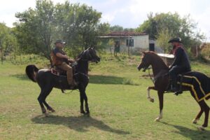 cowboys 4