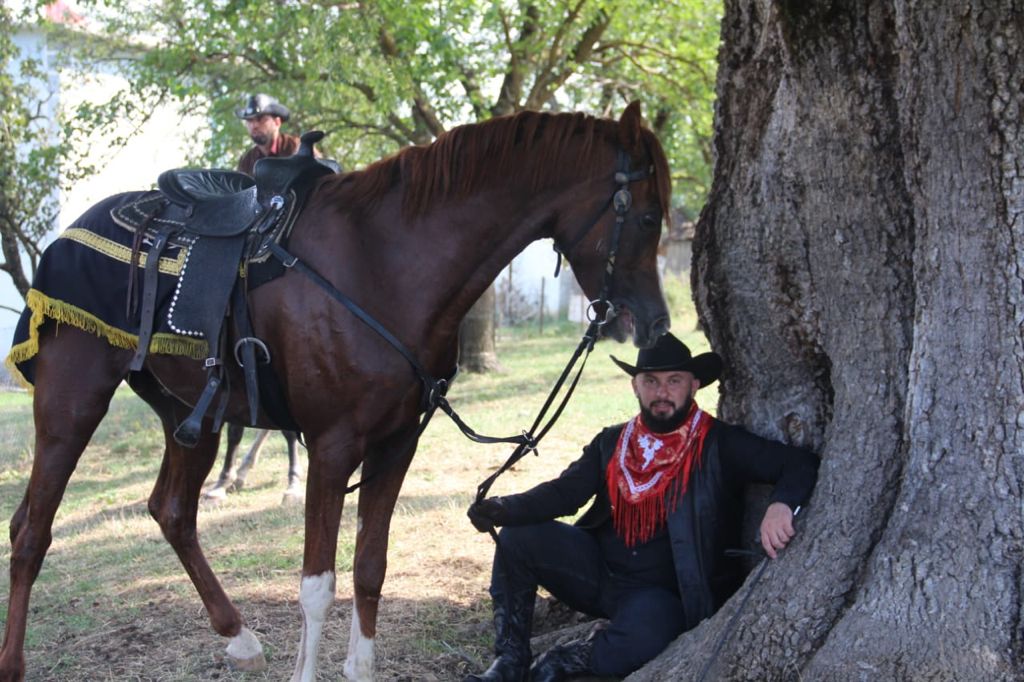 cowboys 5