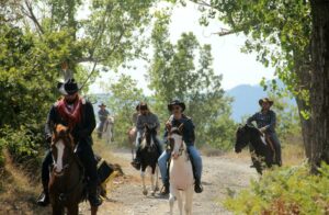 cowboys 6