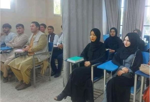 Kabul 2021, vajzat dhe djemtë në universitete ndahen me perde kabul