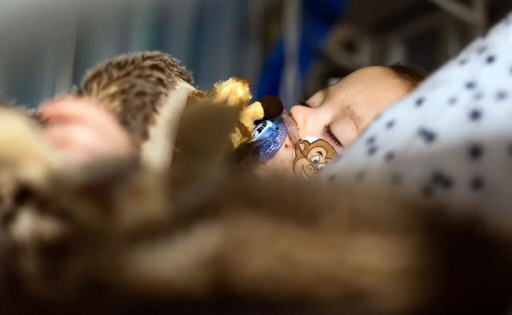 Virusi për të cilin dihet shumë pak dhe që preku këtë vit fëmijët kids