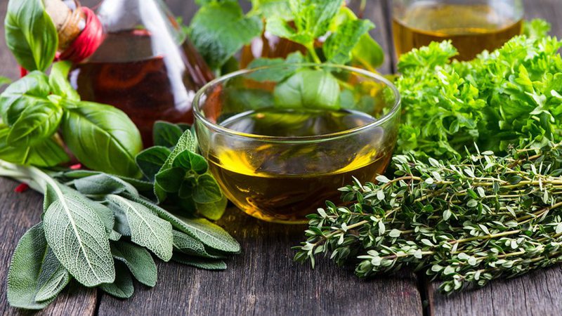 Bari aromatik që forcon kujtesën dhe shton vite jetë rozmarine