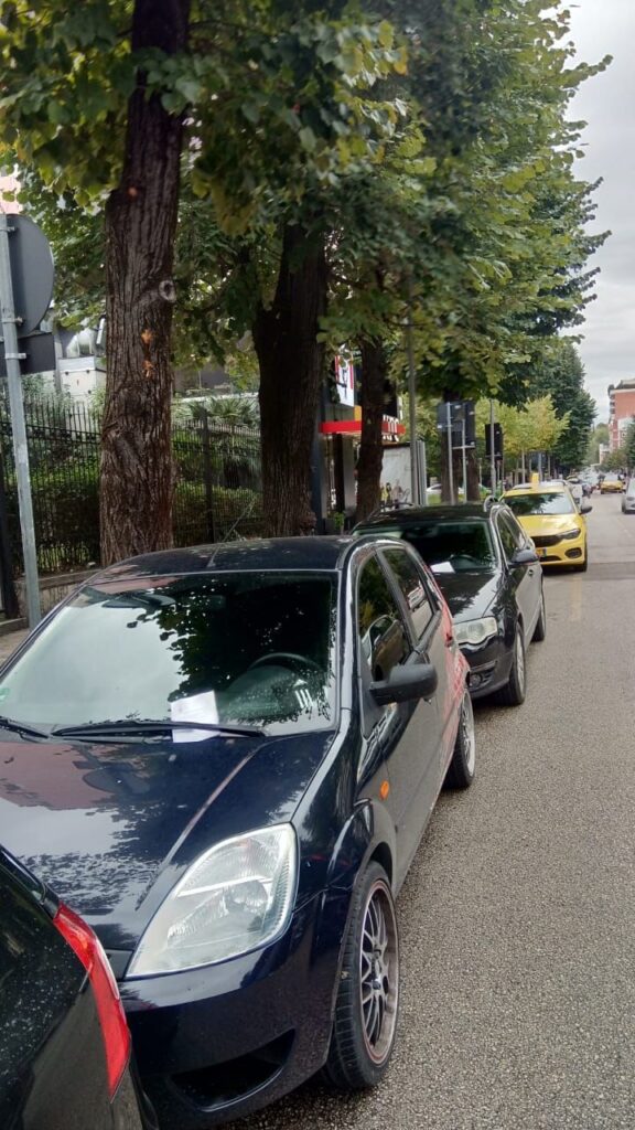 Maratona e Tiranës, nga 15 tetori do të ndalohet parkimi në këto rrugë të kryeqytetit 3 245309239 598173744942541 1186974895979994474 n