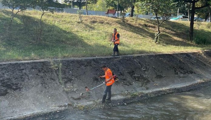 Afrimi i stinës së reshjeve, Bashkia e Tiranës pastron shtratin e Lumit të Lanës nga mbetjet 73d7f9eb f6ea 41a5 a6ea 6dcdbf56a0ed 696x398 1