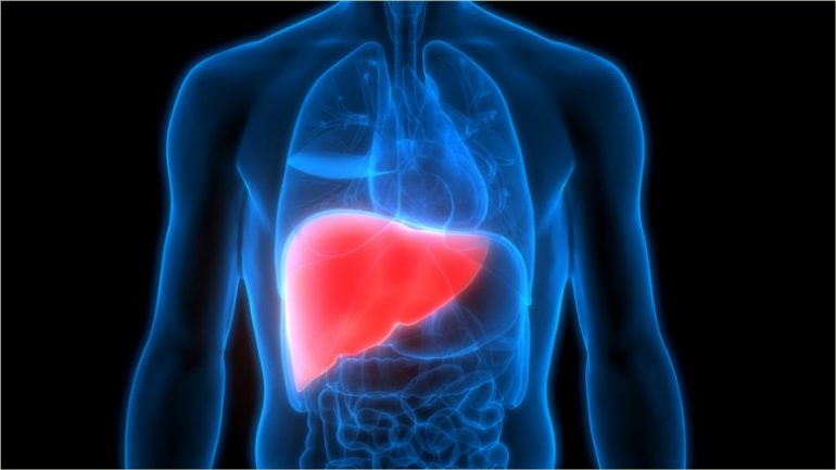 Udhëzimet e ISHP, disa fakte që duhet të dini rreth hepatitit viral melcia 780x439 1 770x433 1