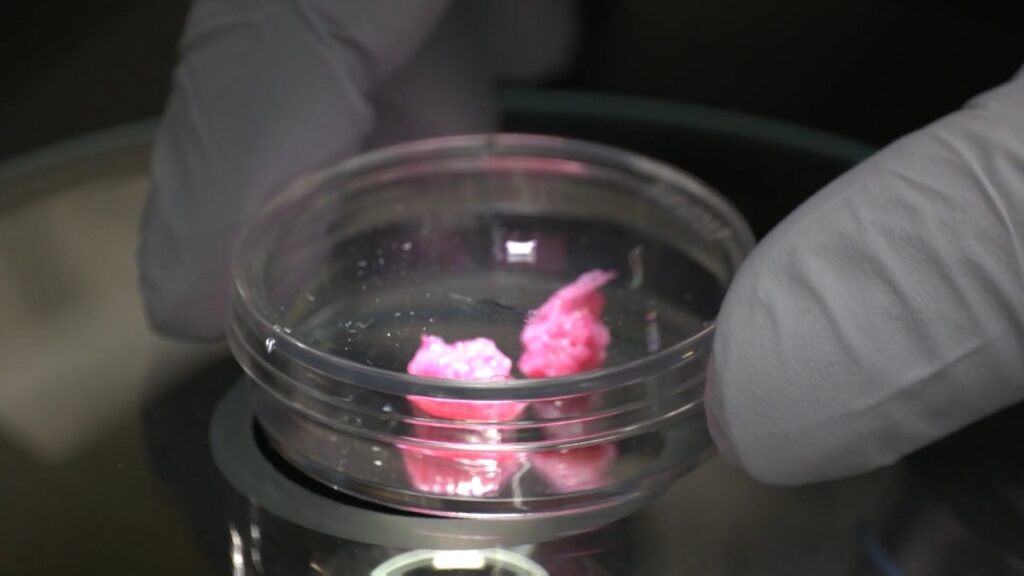 Japonia prodhon mishin e laboratorit mish