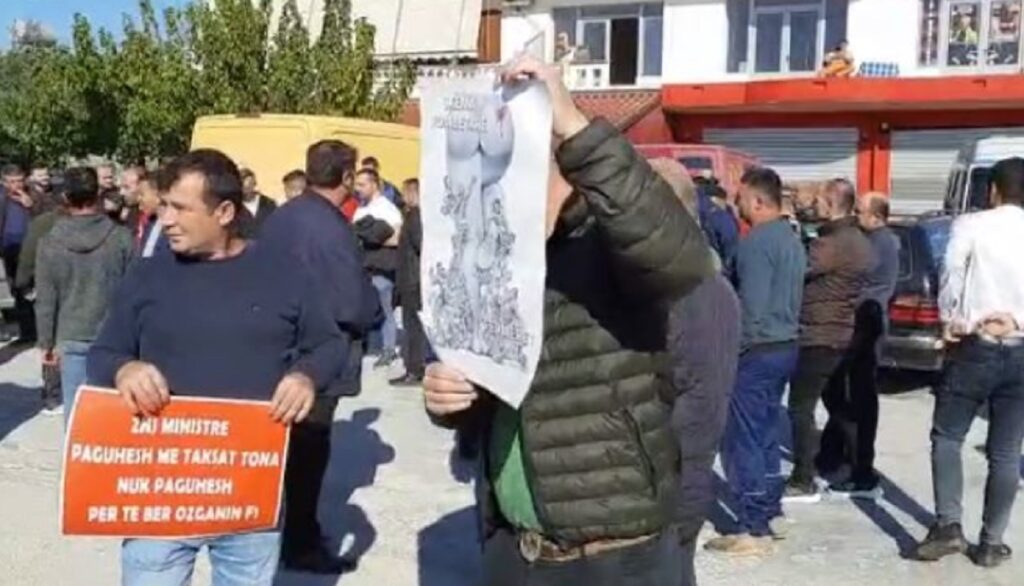 Fermerët e Lushnjes, Beratit e Fierit në protestë, fara e skaduar e domates i çoi drejt falimentit proteste fermere
