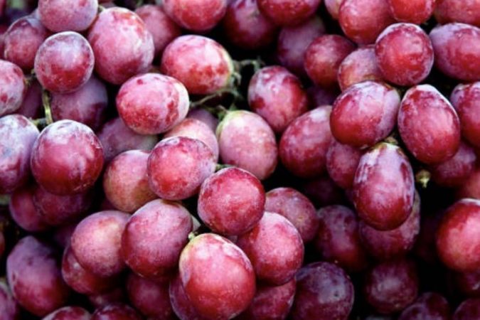 Vlerat shëndetësore të rrushit të kuq kundër plakjes së parakohshme rrushikuq 750x500 1 675x450 1