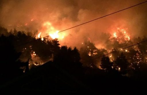 Zjarr i madh pranë plazhit të Gjeneralit, digjen tre banesa, rrezikohen dhjetëra të tjera unnamed 7