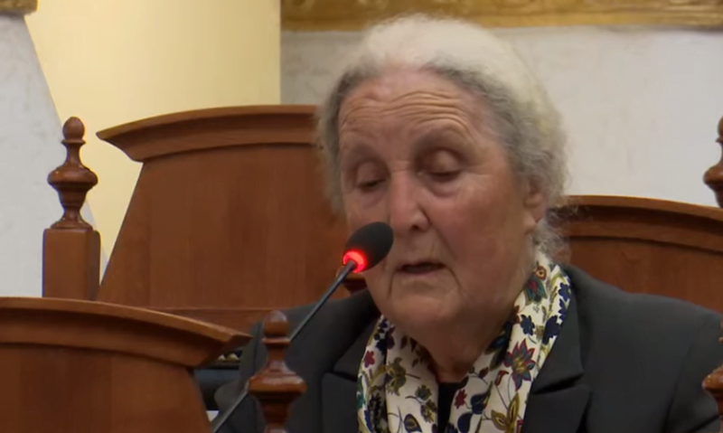 Nga ndërtimet te pensionet, Luljeta Bozo bën disa propozime në Kuvend: Të dalin inxhinierë e arkitektë të mirëkualifikuar 800 0 6193a3b005a73