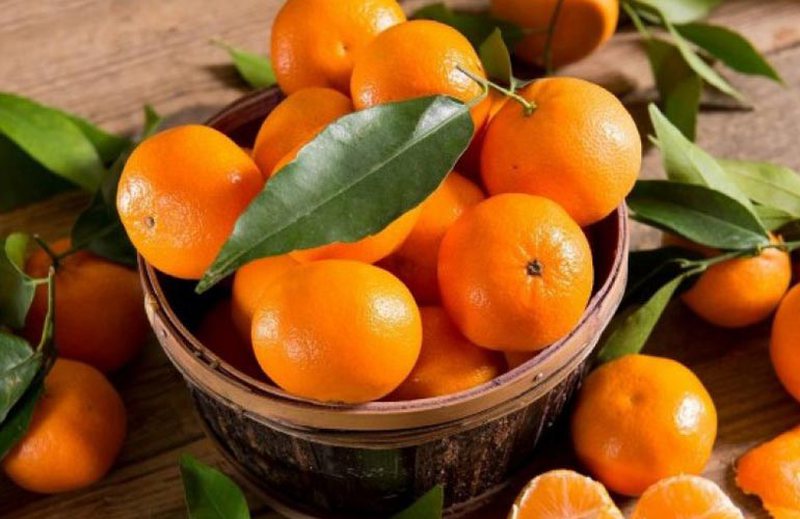 Tepër të shëndetshme! Ja arsyet pse duhet të hani mandarina çdo ditë 800 0 61a63031753ca