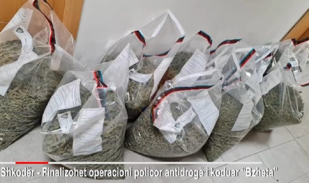 “Bzheta”/ Sekuestrohen 96 kg kanabis, arrestohen katër të rinj bzheta shkoder